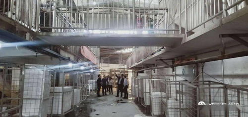 綠色包裝與節能保溫材料項目成功簽約，金屬裝飾材料零售市場迎新機